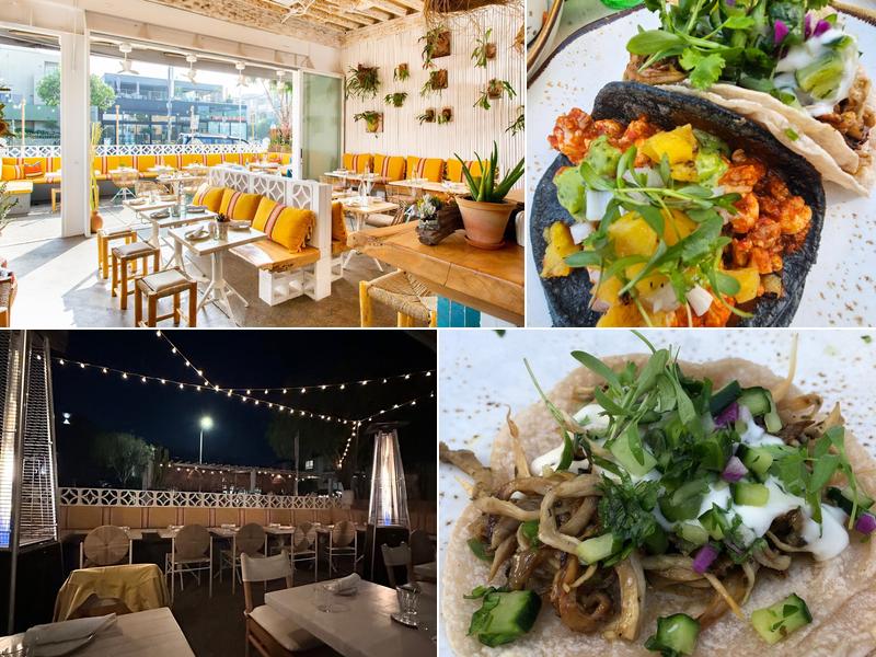 Chulita 533 Rose Ave, Venice