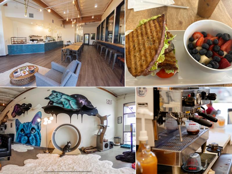 Cat & Craft 3211 Business Park Dr #3b, Vista