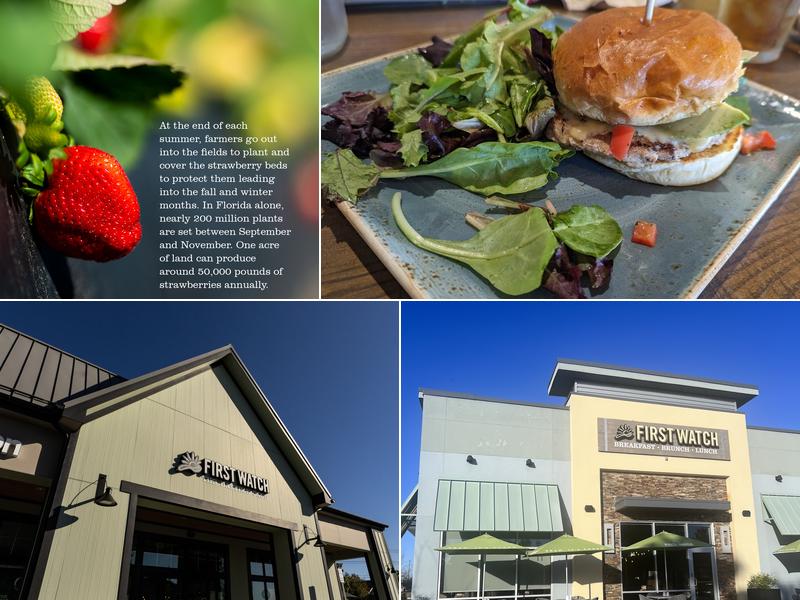 First Watch 23685 State Rd 54, Lutz