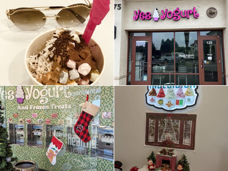 Yes! Yogurt and Frozen Treats