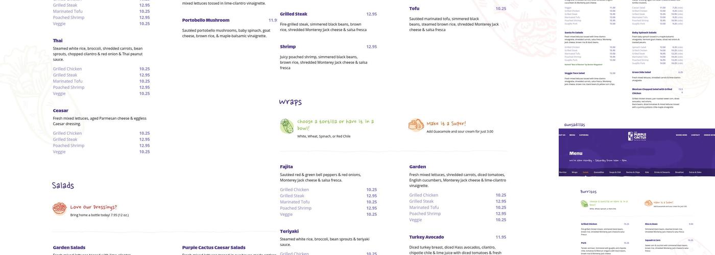 The Purple Cactus Menu