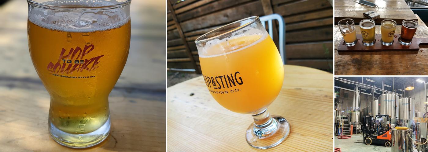 Hop and Sting Brewing Company