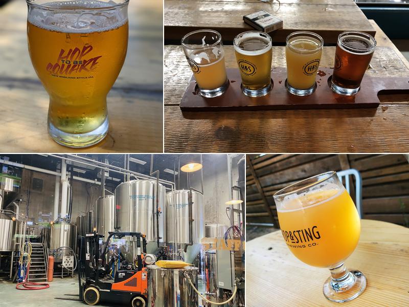 Hop and Sting Brewing Company