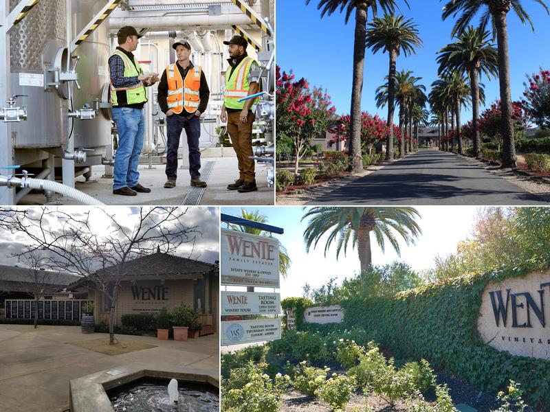 Wente Family Estate Production