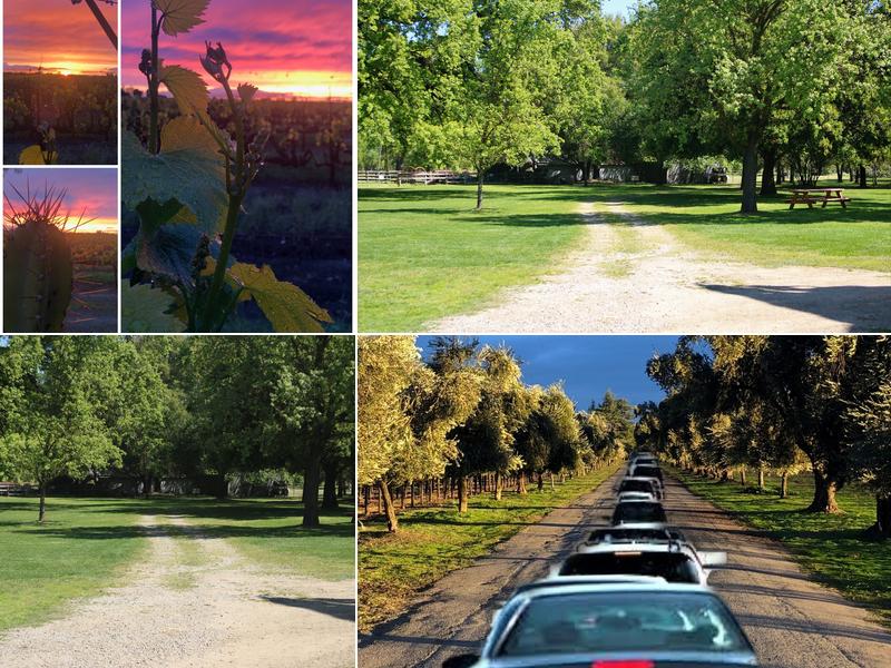 Jessie's Grove Winery