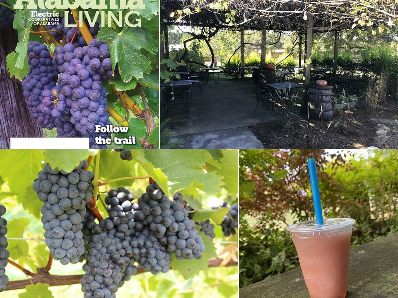 Jules J Berta Vineyards