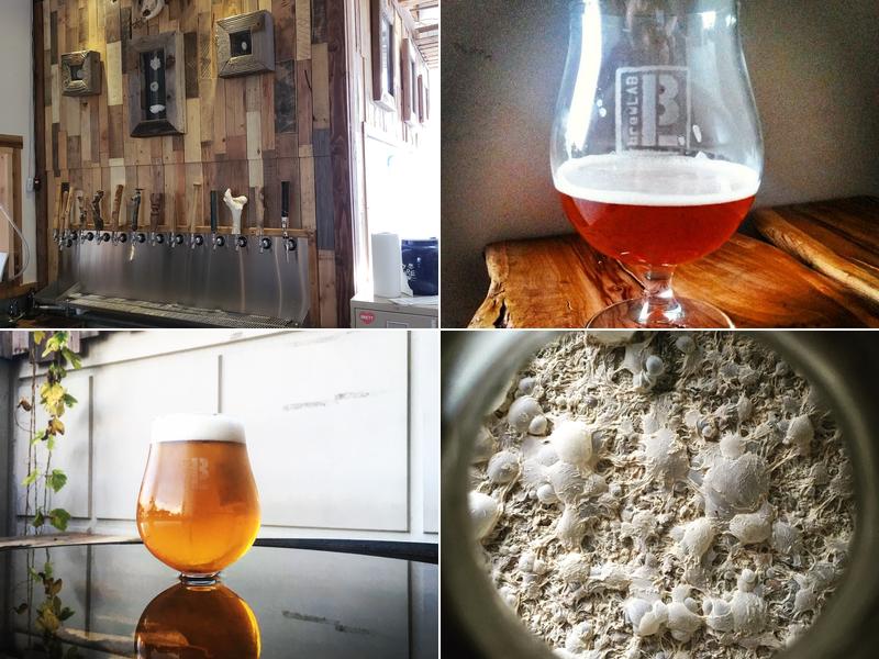 brewLAB 4191 Carpinteria Ave #8, Carpinteria