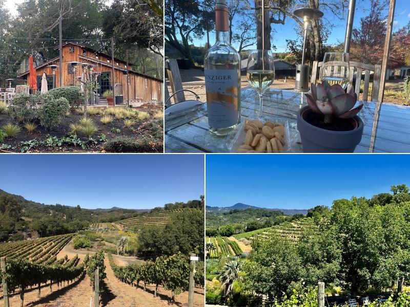 Benziger Family Winery