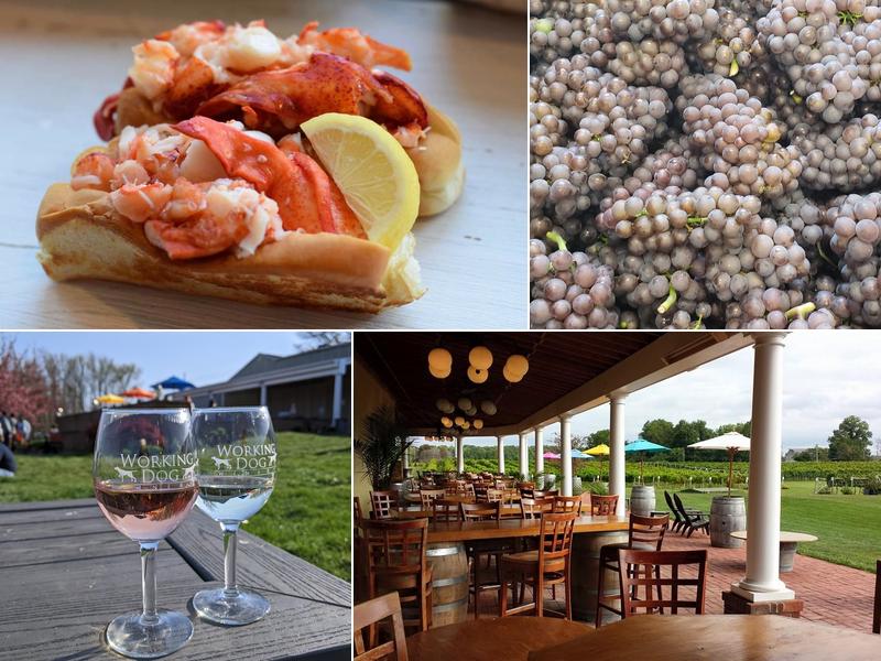 Working Dog Winery 610 Windsor Perrineville Rd, Hightstown