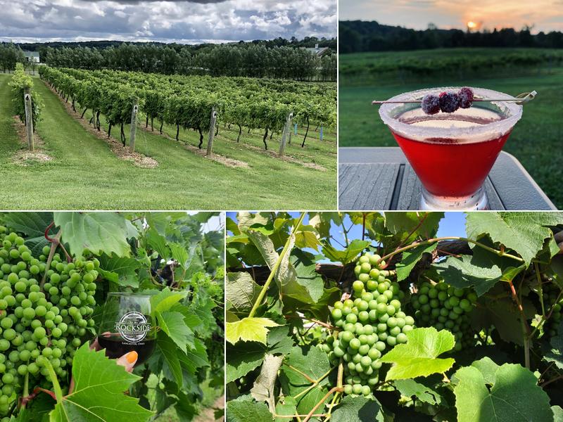 Rockside Winery and Vineyards