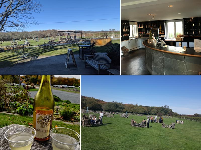 Carolyn's Sakonnet Vineyard