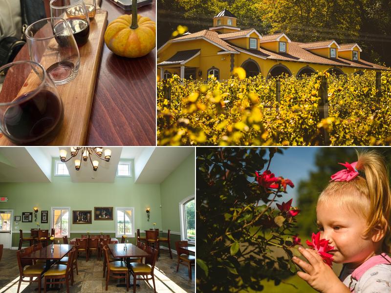 Paradise Hills Vineyard & Winery