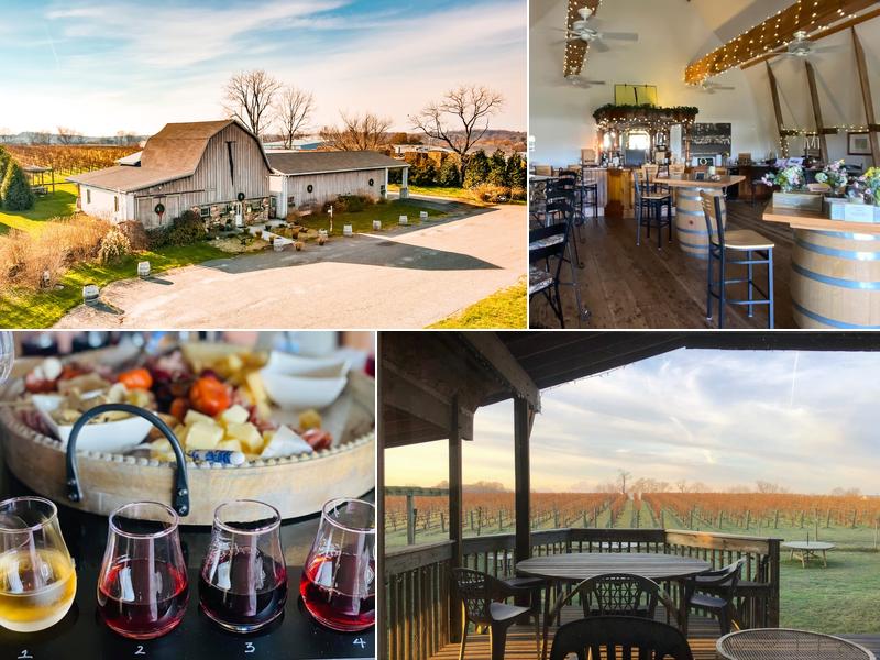 Va La Vineyards 8820 Gap Newport Pike, Avondale