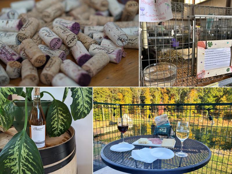 Casanel Vineyards & Winery