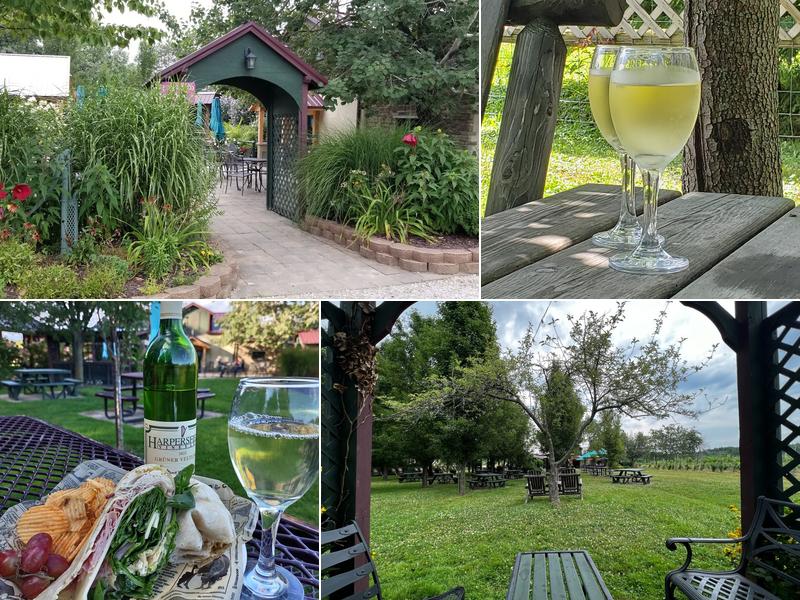 Harpersfield Vineyard