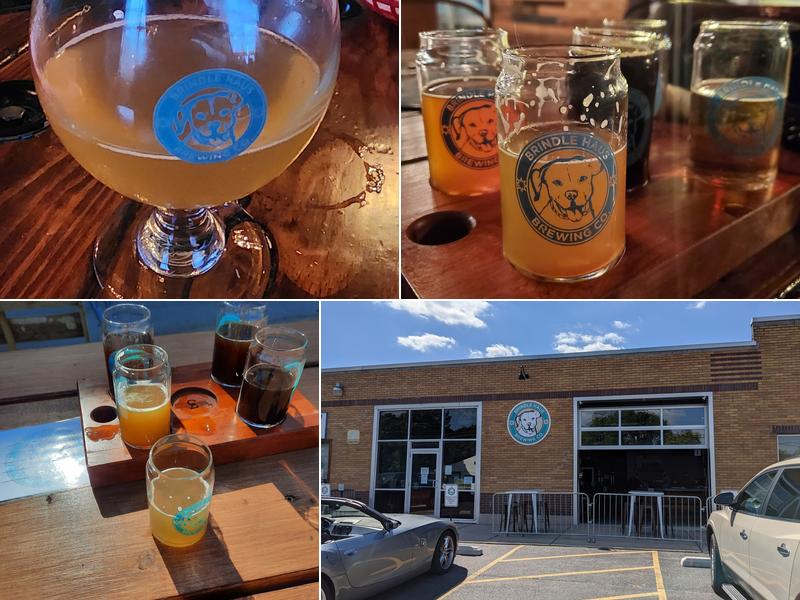 Brindle Haus Brewing Company