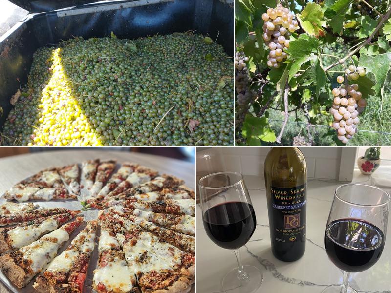 Silver Springs Winery 4408 NY-414, Burdett