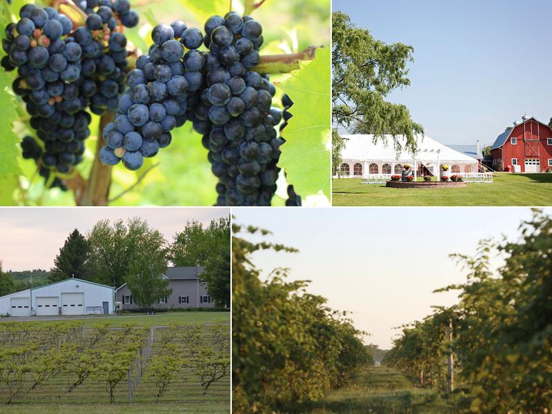 Thousand Islands Winery