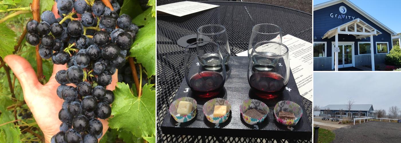 Gravity Vineyards and Winery