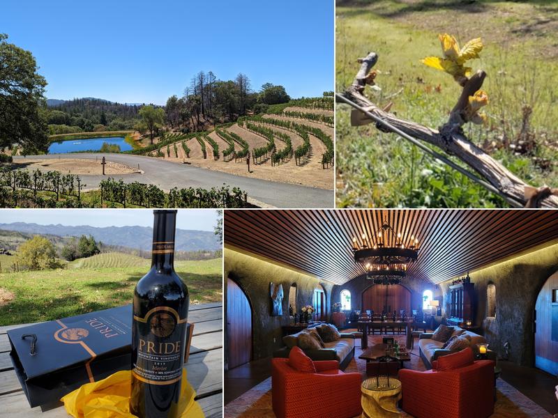Pride Mountain Vineyards 4026 Spring Mountain Rd, St Helena