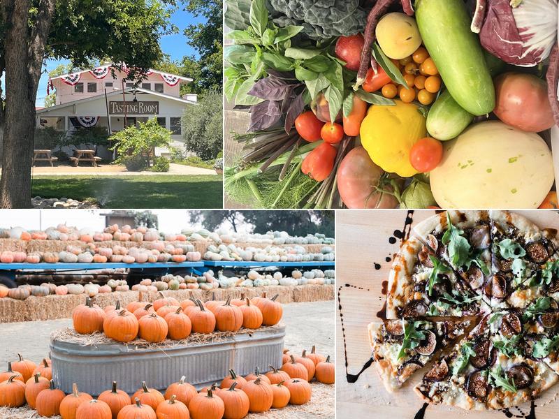 Vista Ranch Farming Area