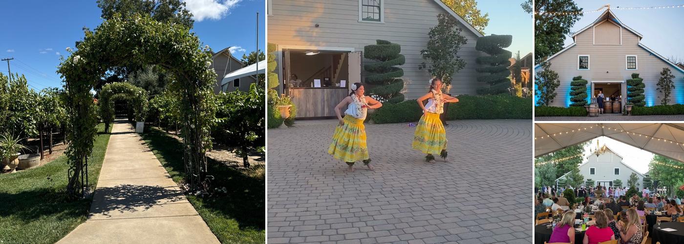 Scribner Bend Vineyards