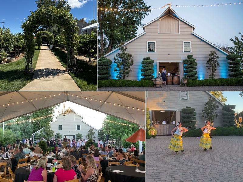 Scribner Bend Vineyards