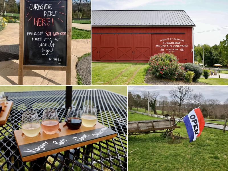 Sugarloaf Mountain Vineyard 18125 Comus Rd, Dickerson