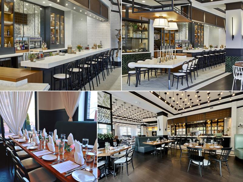 Whitebird 102 Walnut St, Chattanooga