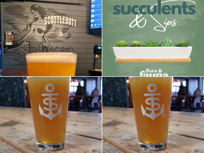 Scuttlebutt Brewing - Taproom