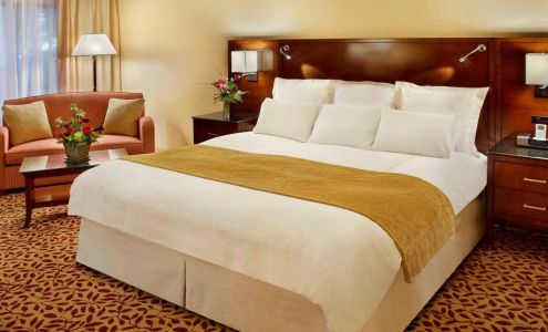 Trumbull Marriott Shelton