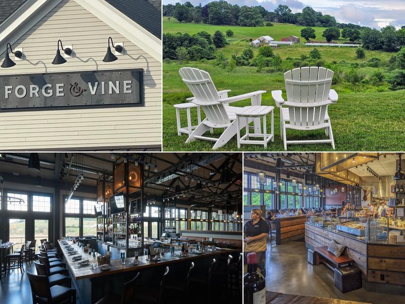 Forge & Vine