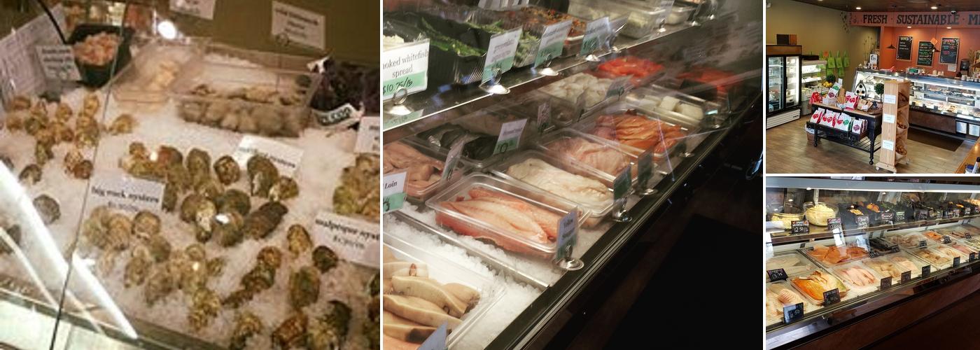 fin - your fishmonger