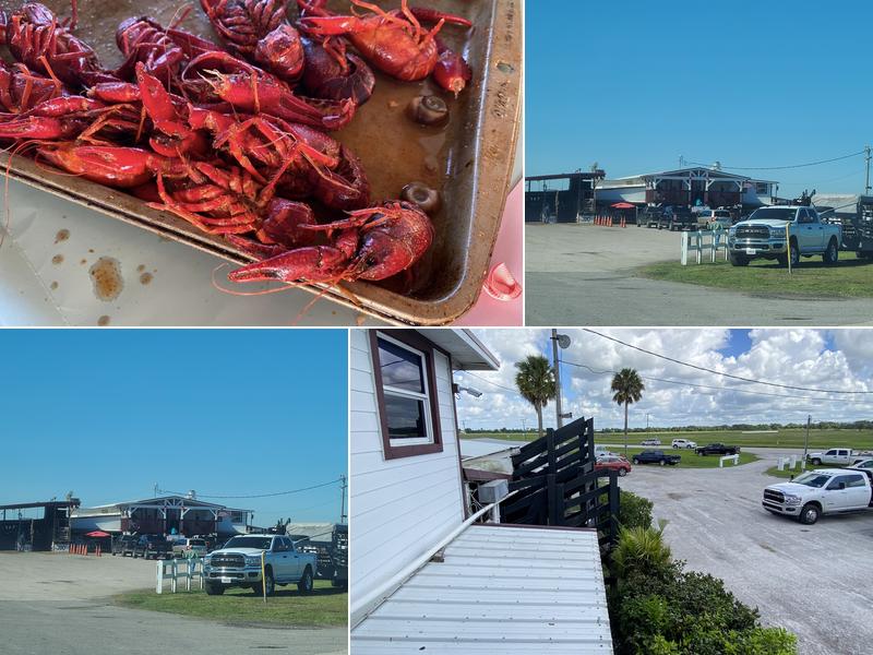 Okeechobee Livestock Market