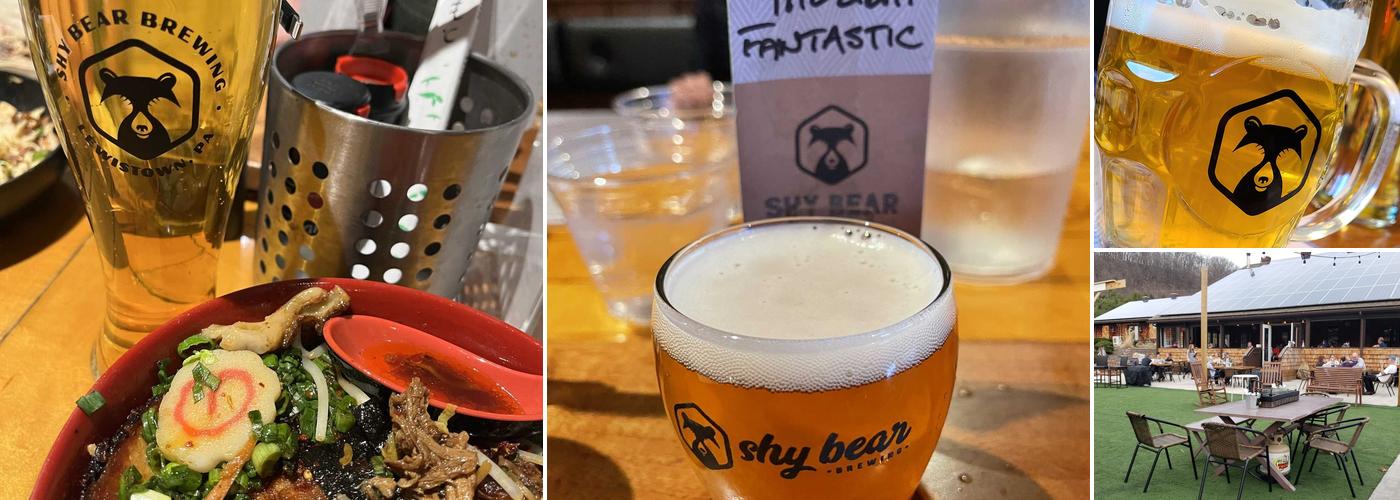 Shy Bear Brewing