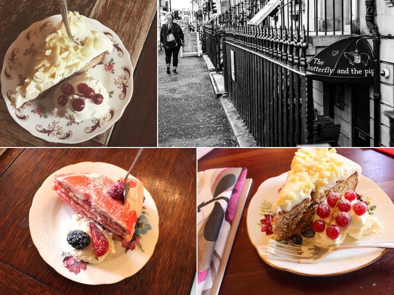 The butterfly and the pig