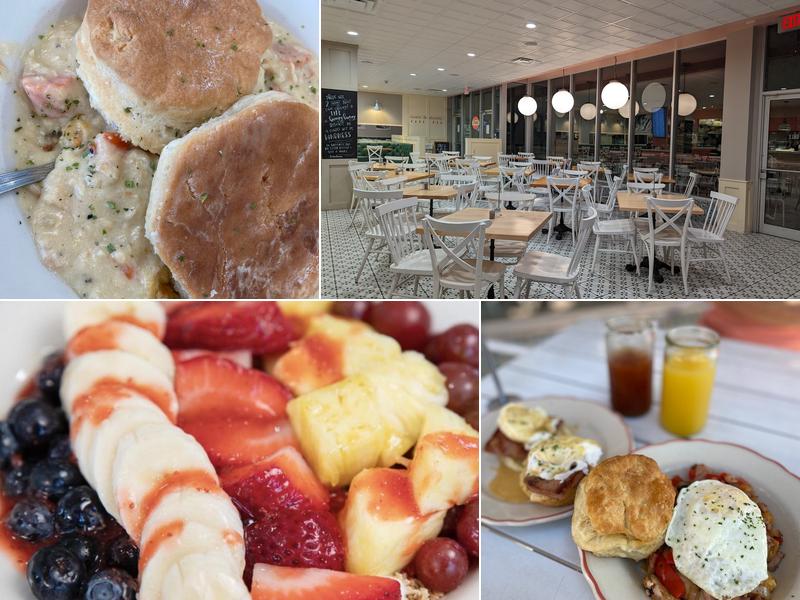 HunnyBunny Biscuit Co