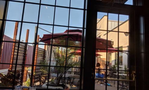 goat. sheep. cow., north