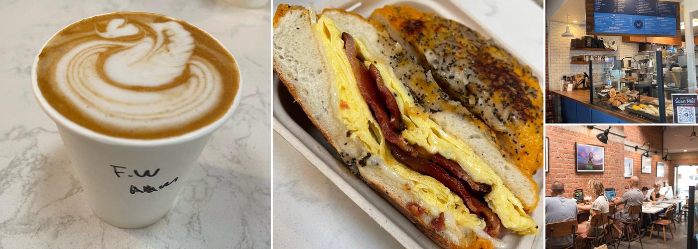 Blue Butterfly Coffee