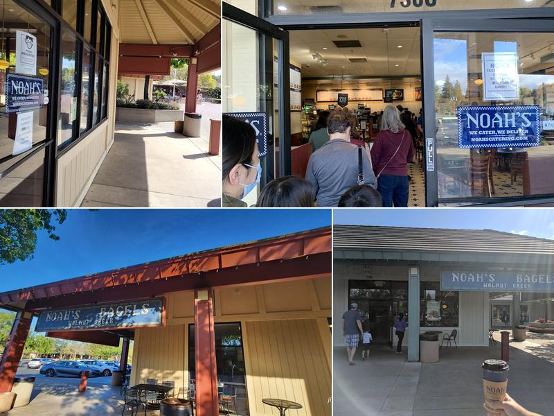 Noah's NY Bagels