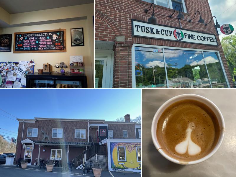 Tusk & Cup Fine Coffee