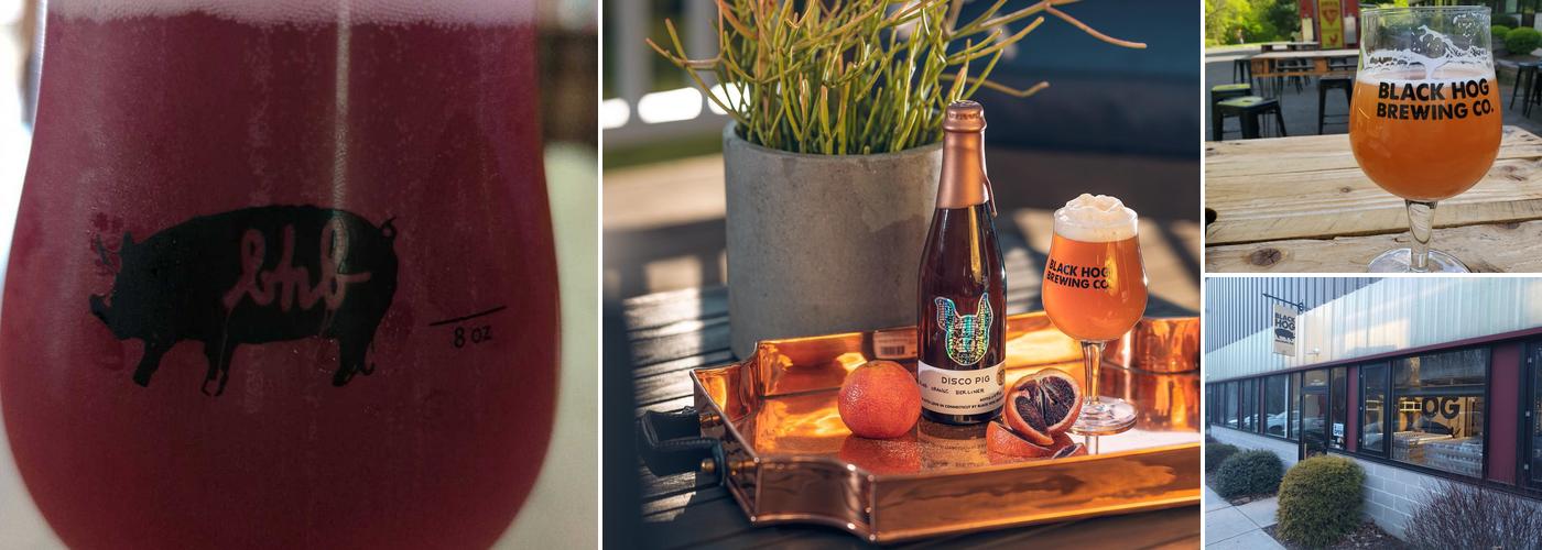 Black Hog Brewing Co
