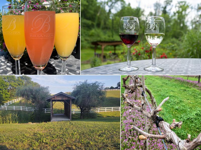 Brianza Gardens & Winery