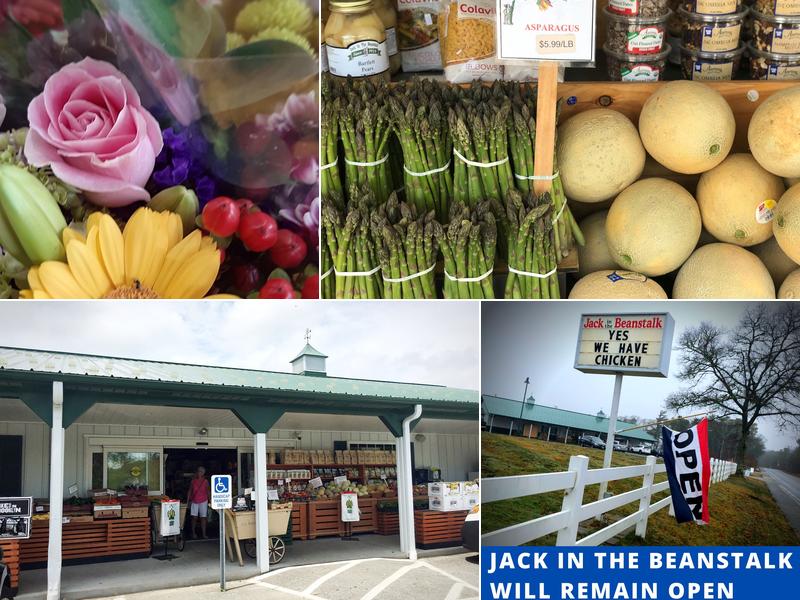 Jack In the Beanstalk