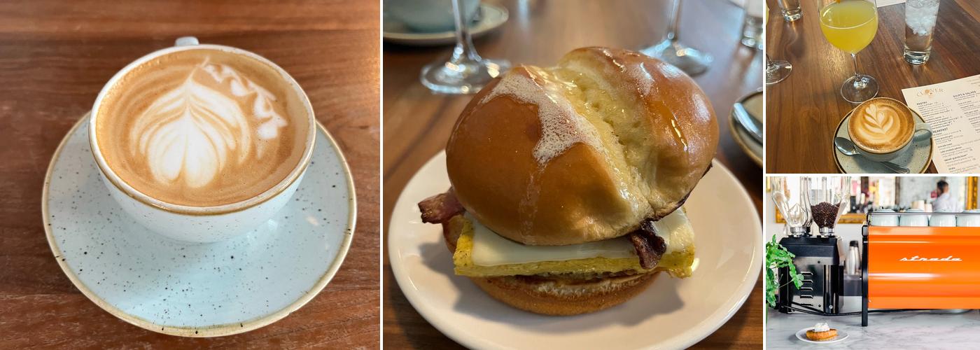 The Clover and the Bee