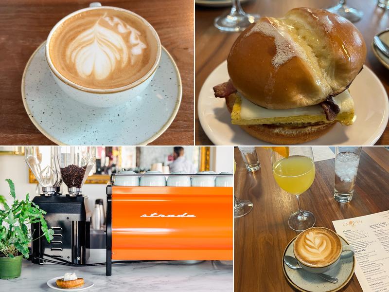 The Clover and the Bee