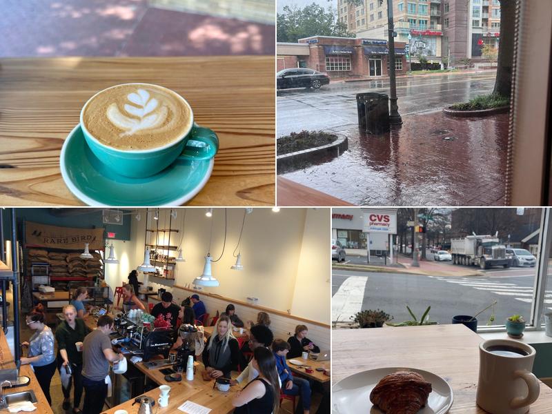 Rare Bird Coffee Roasters