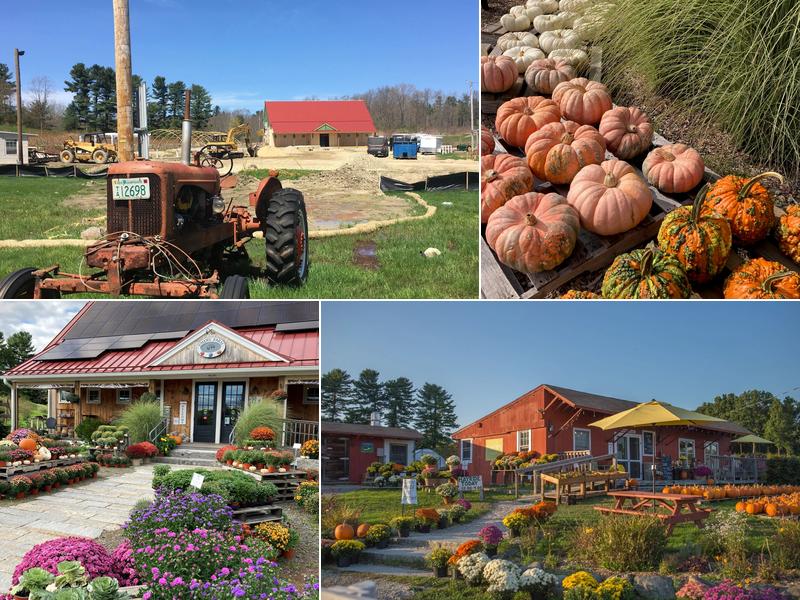 Market & Cafe at Emery Farm