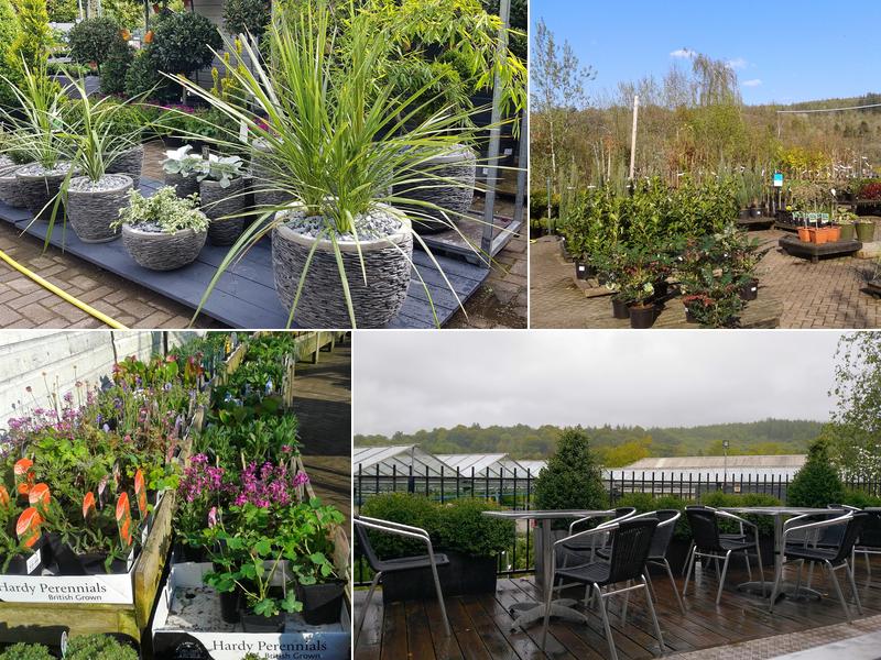 The Buttery Coffee Shop