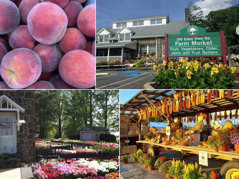 Masonic Village Farm Market